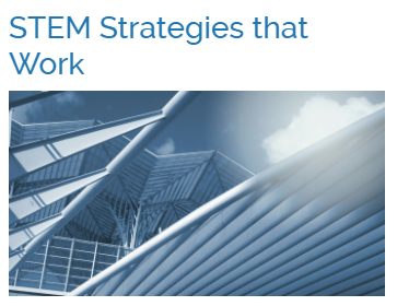 stem strategies